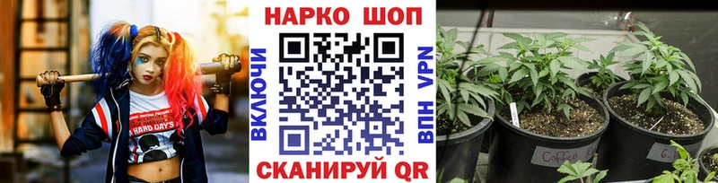 Альфа ПВП Канаш