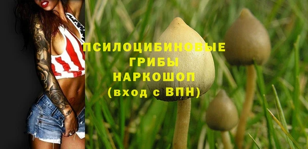 кокс Надым