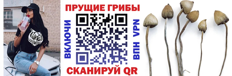 Псилоцибиновые грибы ЛСД  Купить где  Канаш 